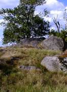 ertova ruka